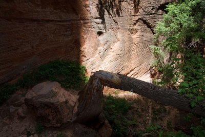 Zion NP