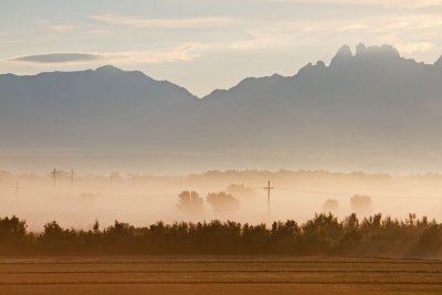 Morning fog in the Mesilla Valley