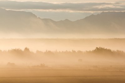 Morning fog in the Mesilla Valley