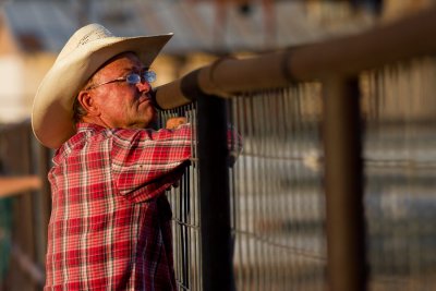 Rodeo spectator