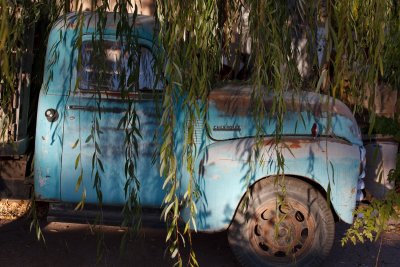Blue truck under the willow tree
