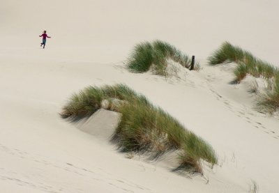 U.S.-- Oregon Dunes National Recreation Area