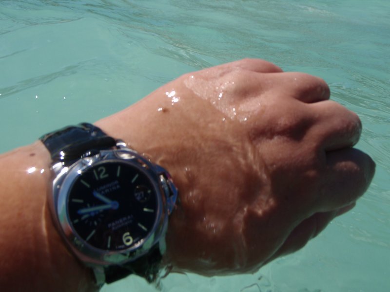 P2270061.JPG