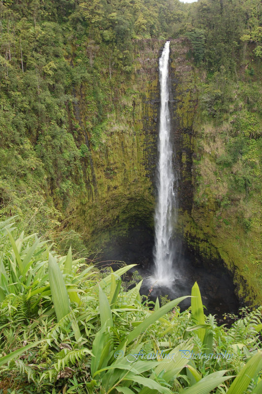 Hawaii5vcs0034.jpg