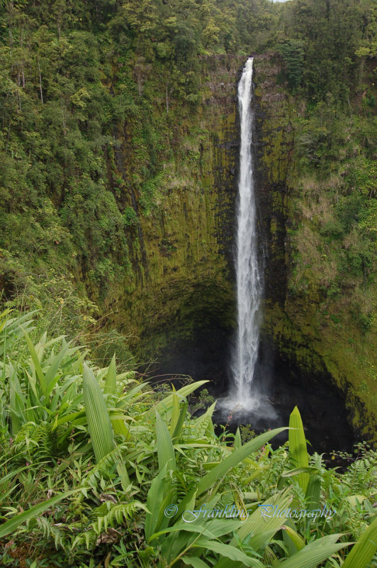 Hawaii5vcs0035.jpg