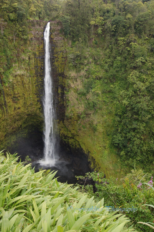 Hawaii5vcs0037.jpg