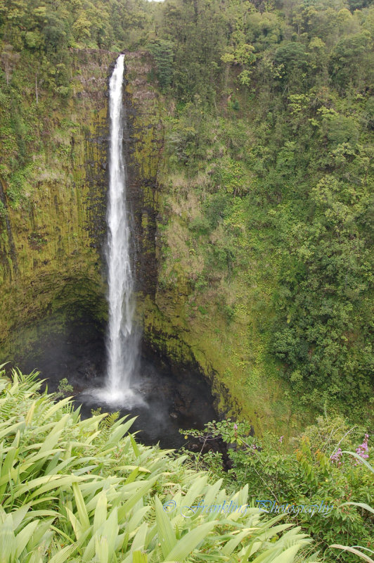 Hawaii5vcs0038.jpg
