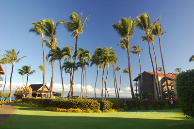 Hawaii4hcs0003.jpg