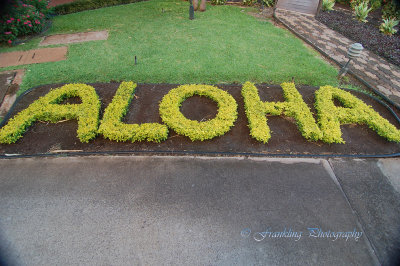 Hawaii4hcs0004.jpg