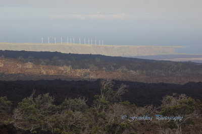 Hawaii4hcs0040.jpg