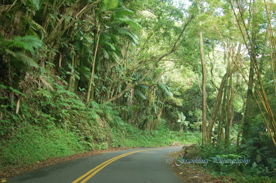 Hawaii5hcs0016.jpg