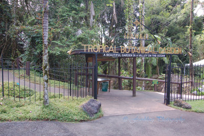Hawaii5hcs0018.jpg
