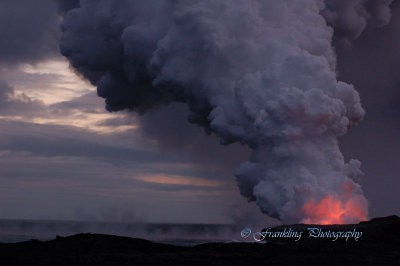 Hawaii5hcs0131.jpg