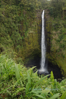 Hawaii5vcs0035.jpg