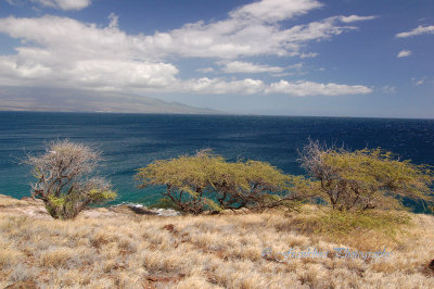 Hawaii2hcs0019.jpg