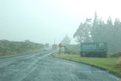 Hawaii2hcs0031.jpg