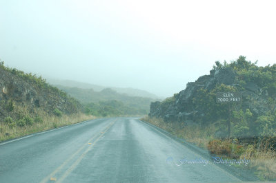 Hawaii2hcs0032.jpg
