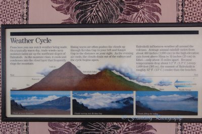 Hawaii2hcs0044.jpg