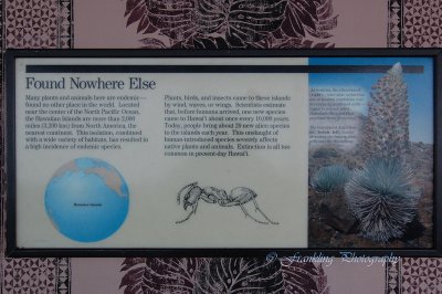 Hawaii2hcs0046.jpg