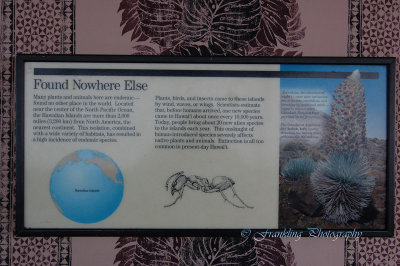 Hawaii2hcs0049.jpg