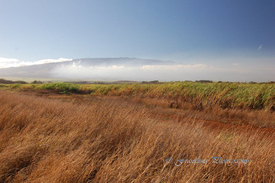 Hawaii3hcs0007.jpg