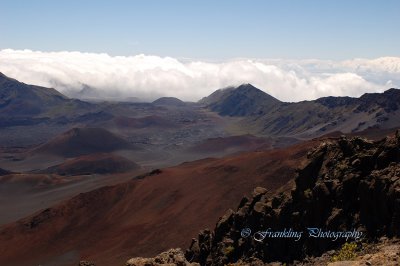 Hawaii3hcs0060.jpg