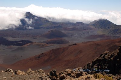 Hawaii3hcs0069.jpg