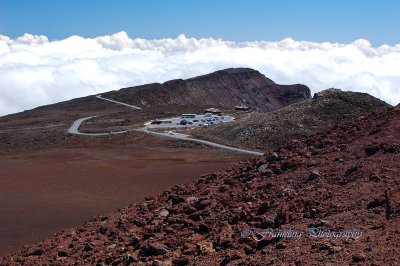 Hawaii3hcs0082.jpg