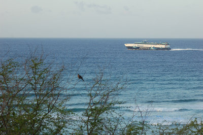 Hawaii1Cs0002.jpg