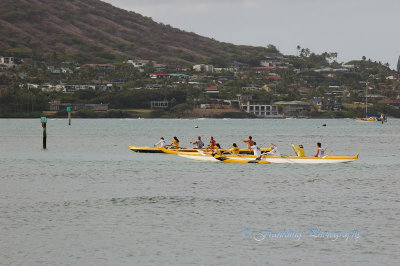 Hawaii1Cs0007.jpg