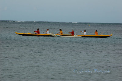 Hawaii1Cs0009.jpg