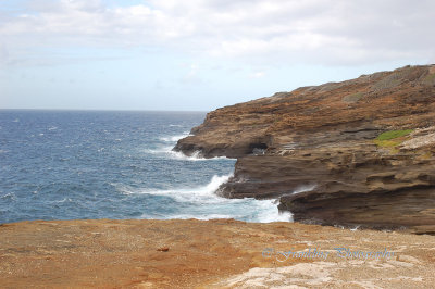 Hawaii1Cs0015.jpg