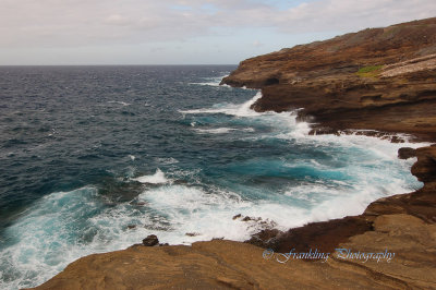 Hawaii1Cs0016.jpg
