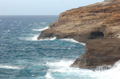 Hawaii1Cs0018.jpg