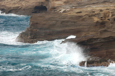 Hawaii1Cs0019.jpg