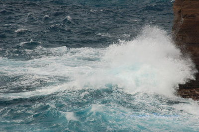 Hawaii1Cs0020.jpg