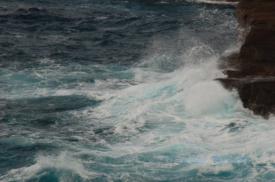 Hawaii1Cs0021.jpg