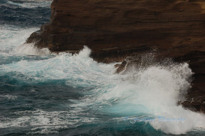 Hawaii1Cs0022.jpg