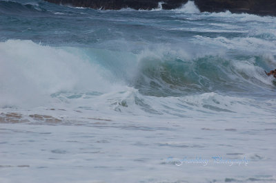 Hawaii1Cs0024.jpg