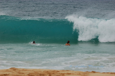 Hawaii1Cs0025.jpg