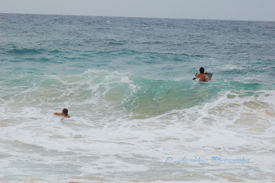 Hawaii1Cs0027.jpg