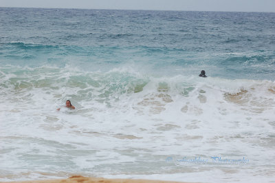 Hawaii1Cs0028.jpg