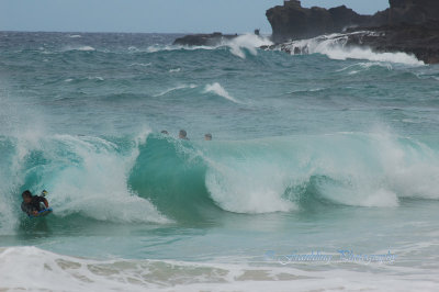 Hawaii1Cs0038.jpg