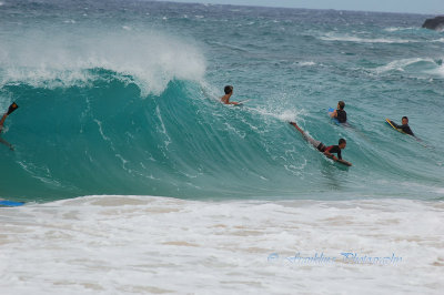 Hawaii1Cs0040.jpg
