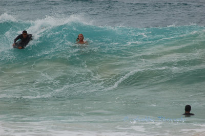 Hawaii1Cs0041.jpg