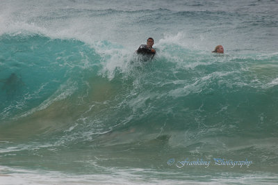 Hawaii1Cs0042.jpg