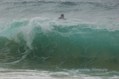 Hawaii1Cs0043.jpg