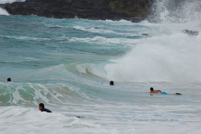 Hawaii1Cs0045.jpg
