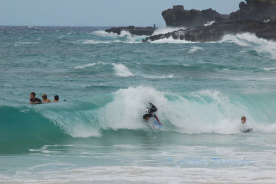 Hawaii1Cs0046.jpg