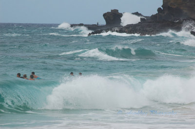 Hawaii1Cs0047.jpg